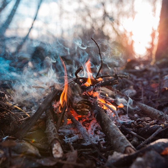 Brasa utomhus som brinner